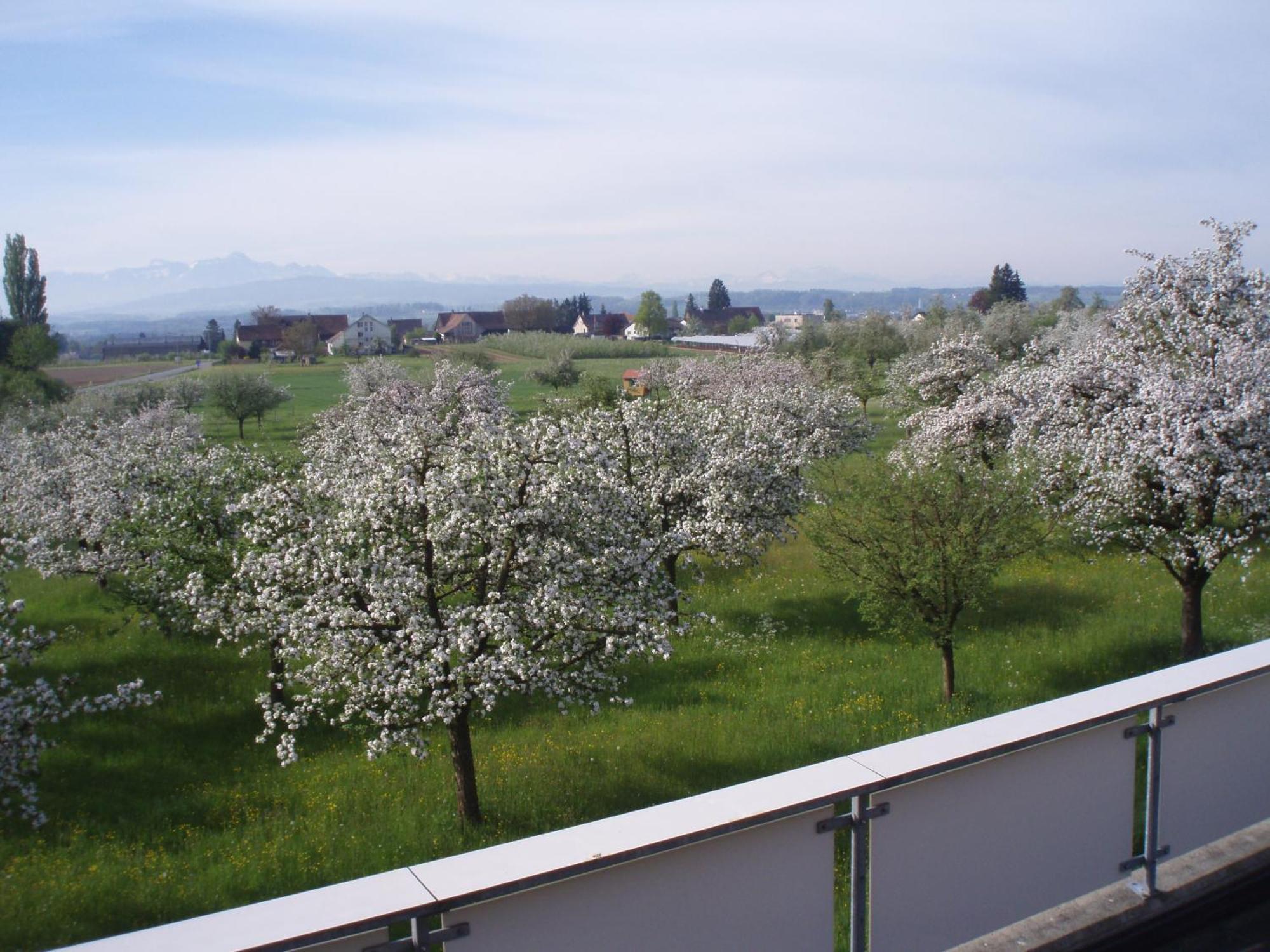 Haus St.Michael Hotel Dozwil Екстериор снимка